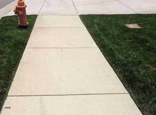 Bria M.'s grass maintenance service result