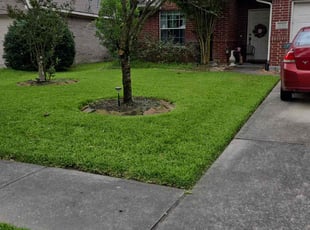 Jasmine B.'s lawn care service result