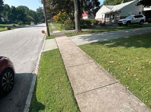 Ashley A.'s turf care service result