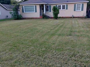 Leon S.'s grass maintenance service result