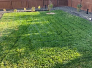 Linda F.'s lawn service service result