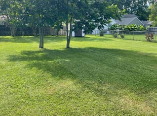 Stori F.'s lawn maintenance service result