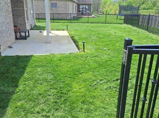 Regi C.'s residential landscaping service result
