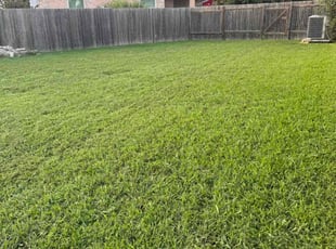 Kacey J.'s lawn care services service result