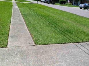 Jerry G.'s lawn maintenance service result