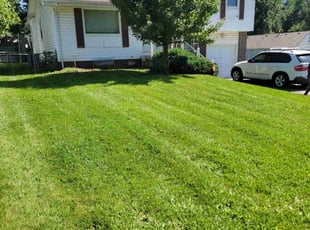 Marty D.'s grass maintenance service result