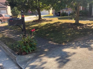 Susan B.'s lawn maintenance service result