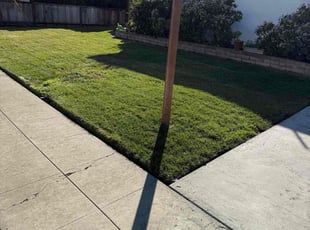 Felicia L.'s turf care service result