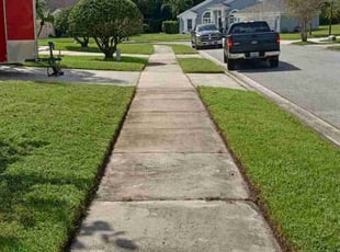 Lourl W.'s lawn maintenance service result
