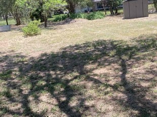 Janice T.'s lawn care service result