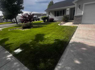 Macey V.'s lawn service service result