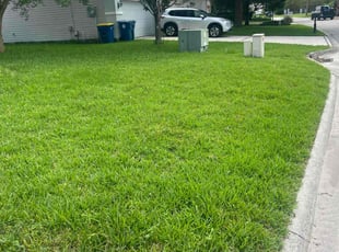 Jacqueline M.'s lawn service service result