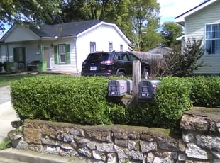 Jean H.'s Bush Trimming service result