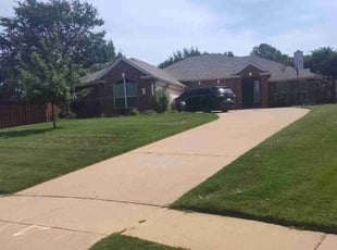 Michelle L.'s grass cutting service result