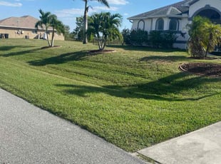 Carla G.'s grass maintenance service result