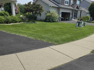 Rick C.'s turf maintenance service result