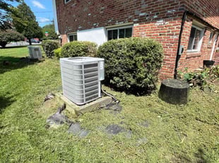 Keri B.'s turf maintenance service result