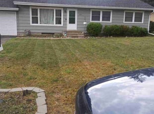 Muna O.'s Bush Trimming service result