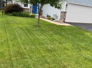 John R.'s turf care service result