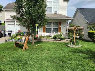 Darmel D.'s lawn service service result