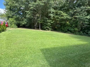 John D.'s lawn care services service result