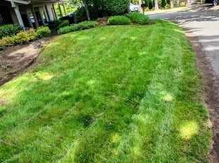 Kathy D.'s lawn maintenance service result