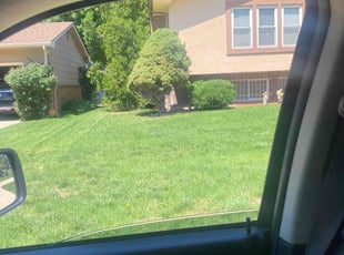 Mark C.'s grass maintenance service result