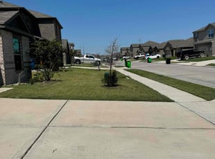 Georgina R.'s grass maintenance service result