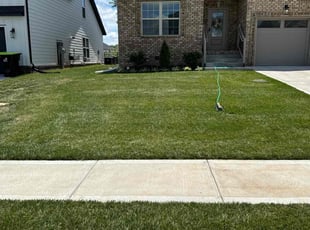 Sadey H.'s turf maintenance service result