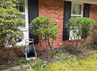 Bobby C.'s Bush Trimming service result