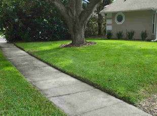 Sandra G.'s turf care service result