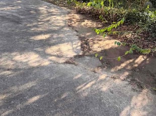 Richard B.'s turf care service result