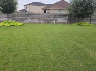 Labake O.'s landscape maintenance service result