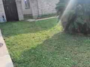 King’Hassan T.'s turf care service result