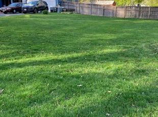 Jennifer N.'s lawn maintenance service result