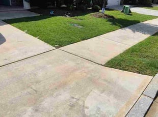 Minhong Y.'s lawn care services service result