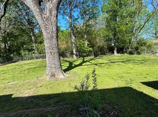 Daniel G.'s turf maintenance service result