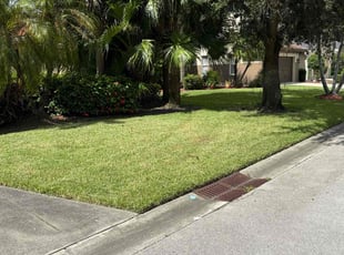 Sally D.'s lawn care service result