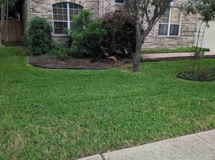 Cindy C.'s grass maintenance service result