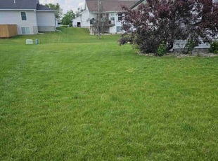 Zachary C.'s landscaping services service result