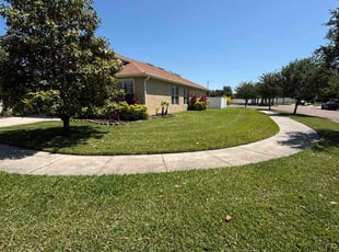 Chris A.'s turf care service result