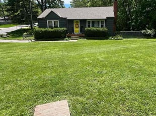 Frank V.'s turf care service result