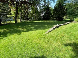 Kyle P.'s grass cutting service result