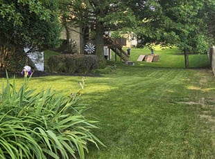 Jakaya S.'s lawn care services service result