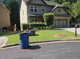 Sean M.'s grass maintenance service result