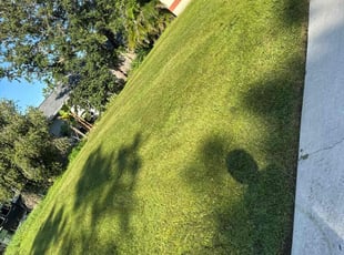 Thomas S.'s turf care service result