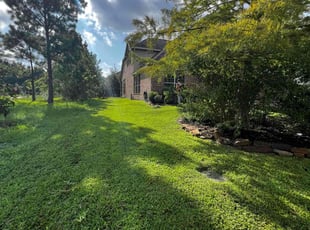 Karen B.'s yard work service result