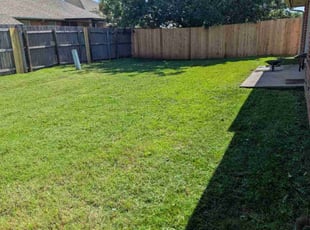 Jose D.'s lawn care service result