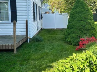 Diana W.'s lawn care service result