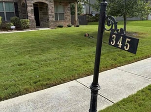 Donna G.'s lawn service service result